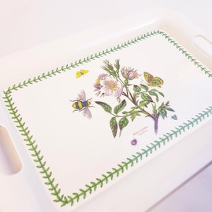 Vintage Portmeirion Susan Williams-Ellis Hund Rose Botanischer Garten Melamin Kunststoff Tablett - made in Italy