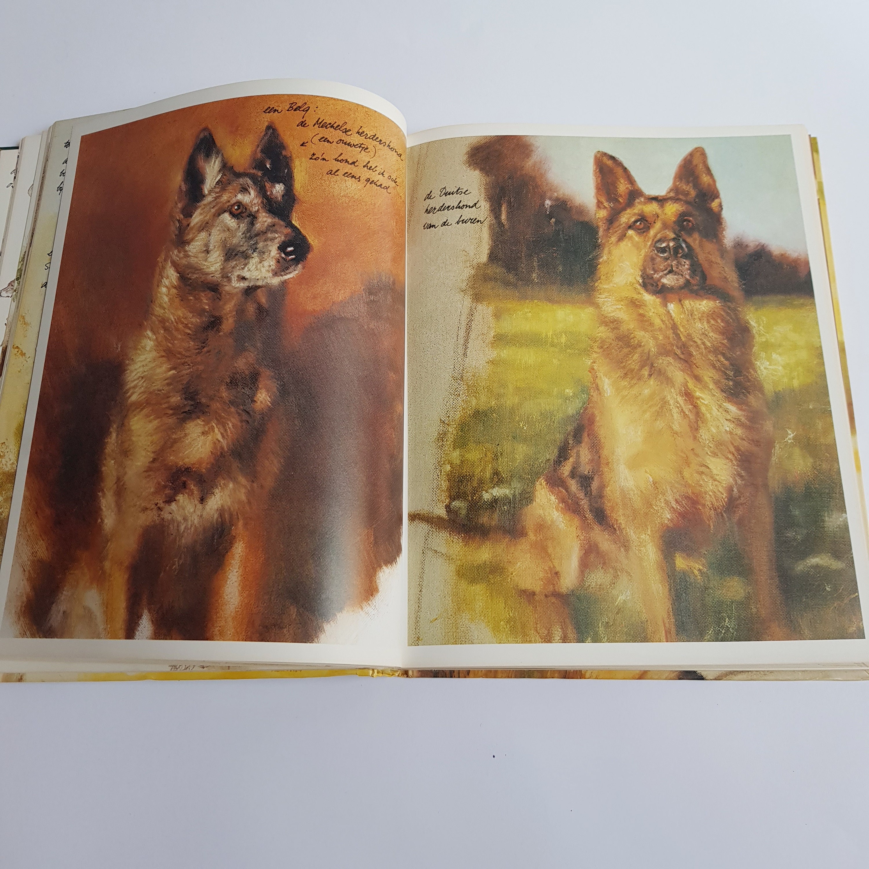 Dogs by Rien Poortvliet, Illustrations, Braaf, Dutch - Etsy