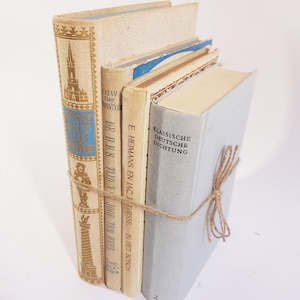 Vintage grijze boekenset met harde kaft – Europese literatuur – neutrale boeken voor plankstyling, interieurdecoratie, tafeldecoratie bruiloften, fotografierekwisieten