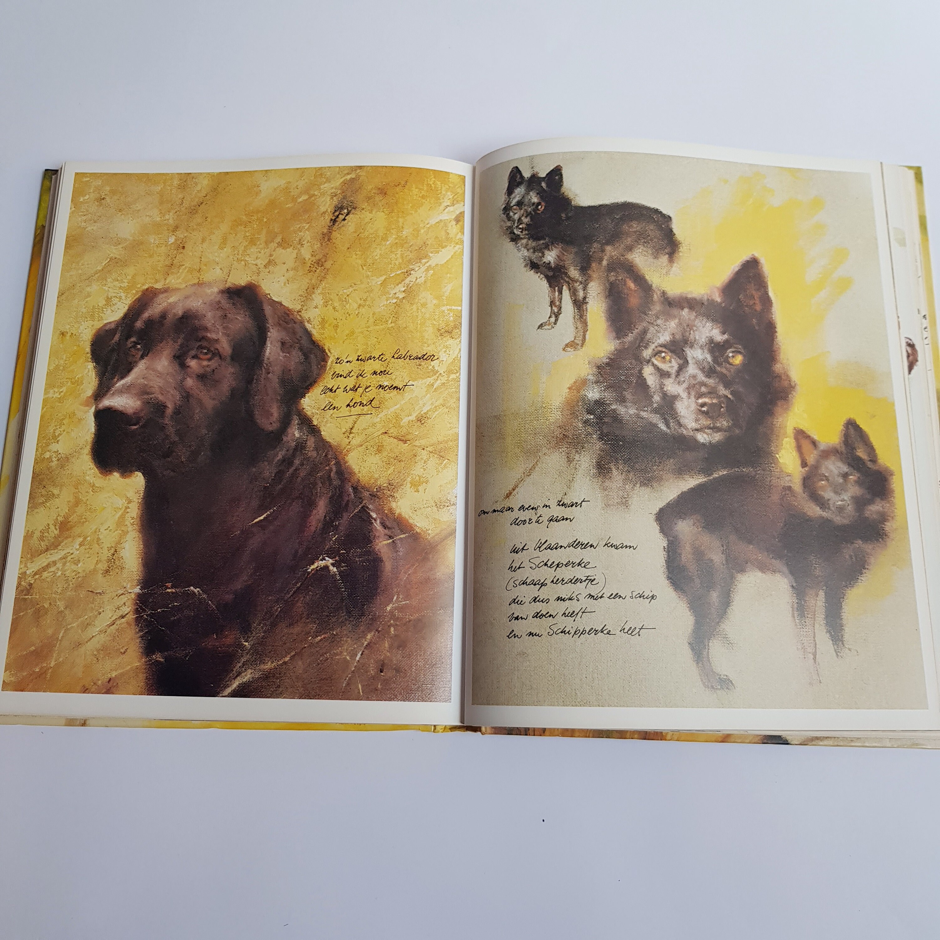 Dogs by Rien Poortvliet, Illustrations, Braaf, Dutch - Etsy Canada