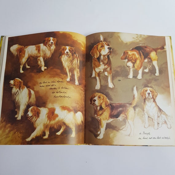 Dogs by Rien Poortvliet, Illustrations, Braaf, Dutch - Etsy Canada Dogs by Rien Poortvliet, Illustrations, Braaf, Dutch - Etsy Canada