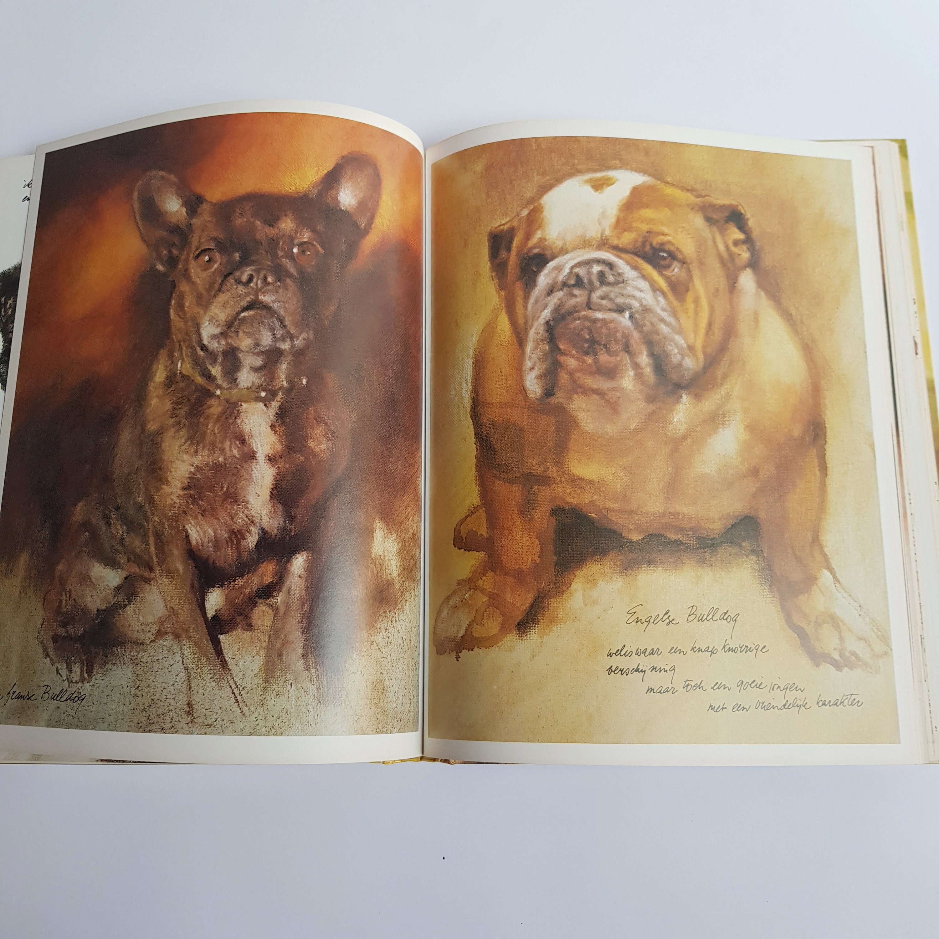 Dogs by Rien Poortvliet, Illustrations, Braaf, Dutch - Etsy Canada