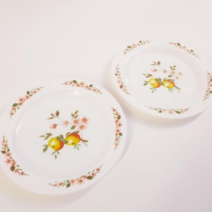 Vintage Arcopal France Lotus Plates: 1970s Floral Breakfast Set