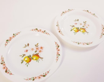 LOT DE 5 assiettes creuses Arcopal modèle Sylvia - Vintage Années 90