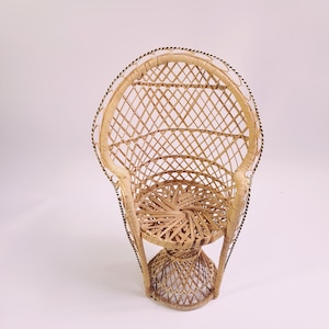 Vintage Peacock doll chair, plant chair, emmanuel rattan chair nr3