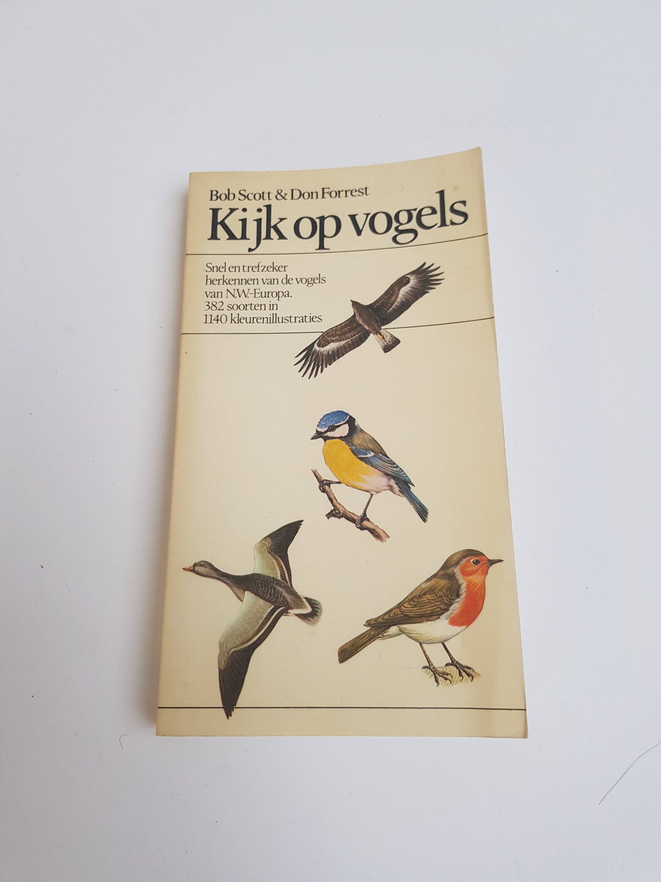 Vintage Illustrated Field Guide Birds 1976 - Etsy