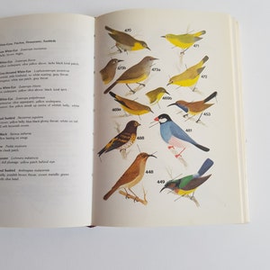 Könnte beinhalten: Eine Buchseite mit Illustrationen verschiedener Vögel, darunter ein gelber Vogel mit einem schwarzen Fleck auf dem Kopf, ein blauer Vogel mit einem roten Schnabel und ein brauner Vogel mit einem langen Schnabel. Die Seite enthält auch Zahlen und Text, die die Vögel beschreiben.