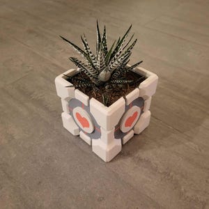 Puede incluir: Una maceta cuadrada blanca con detalles circulares grises y símbolos de corazón rosa en cada lado. La maceta contiene una planta suculenta de color verde oscuro con espinas y rayas horizontales blancas en sus hojas, plantada en tierra marrón oscura.