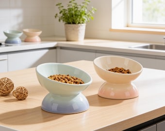 gamelle surélevée en céramique pour chats | Mangeoire pour animaux de compagnie respectueuse des moustaches | Support pour le cou anti-vomissements Assiette pour aliments et eau | Moderne
