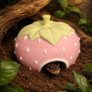 May include: A pink strawberry-shaped reptile hide with a light green stem top and white seed accents. A small dark-colored snake is visible peeking out from the arched entrance at the base of the rounded fruit-shaped enclosure.