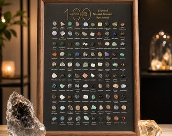 100 Natural Mineral Specimens Display Frame | Geological Collection Wall Art