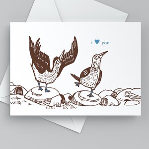 Carte de fou mignon, je t'aime, Saint-Valentin drôle, carte d'anniversaire avec des oiseaux