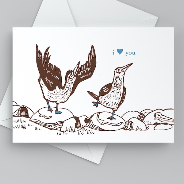 Cute Booby I Love You Card, Funny Valentine, Anniversary Card with Birds