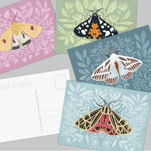 Lot de 4 cartes postales, papillons de printemps, jolies cartes postales, cadeau pour amoureux de la nature