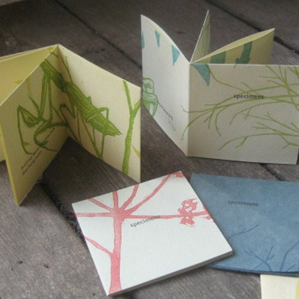 Set of Letterpress-printed Miniature Books / Mini Artist Books with Insects / Linocut Books