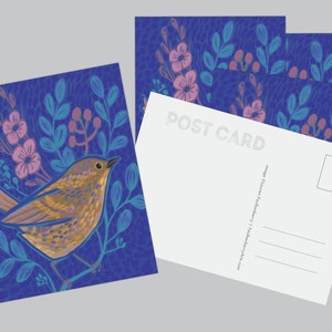 Lot de 4 cartes postales oiseaux colorés, lot de cartes Postcrossing, cadeau pour amoureux des oiseaux