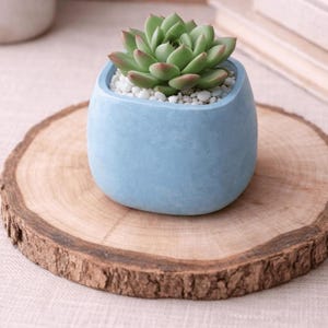 Rounded Square Decorative Pot – Succulent Planter – Handmade in Quebec