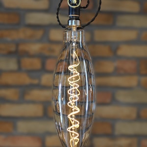 May include: A clear glass light bulb with a long, oval shape and a coiled filament inside. The bulb is hanging from a black cord with a brass and black switch.