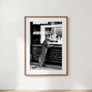 May include: A black and white framed print featuring a leopard standing on its hind legs, looking into a Cartier storefront window display. The storefront features a decorative metal railing and jewellery items visible through the glass pane.