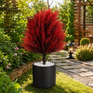 Puede incluir: Un arbusto topiario de color rojo vibrante en forma de cono con follaje fino y puntiagudo. La planta está colocada en una maceta cilíndrica negra lisa, rellena con pequeñas piedras decorativas blancas en la base, creando un contraste nítido.