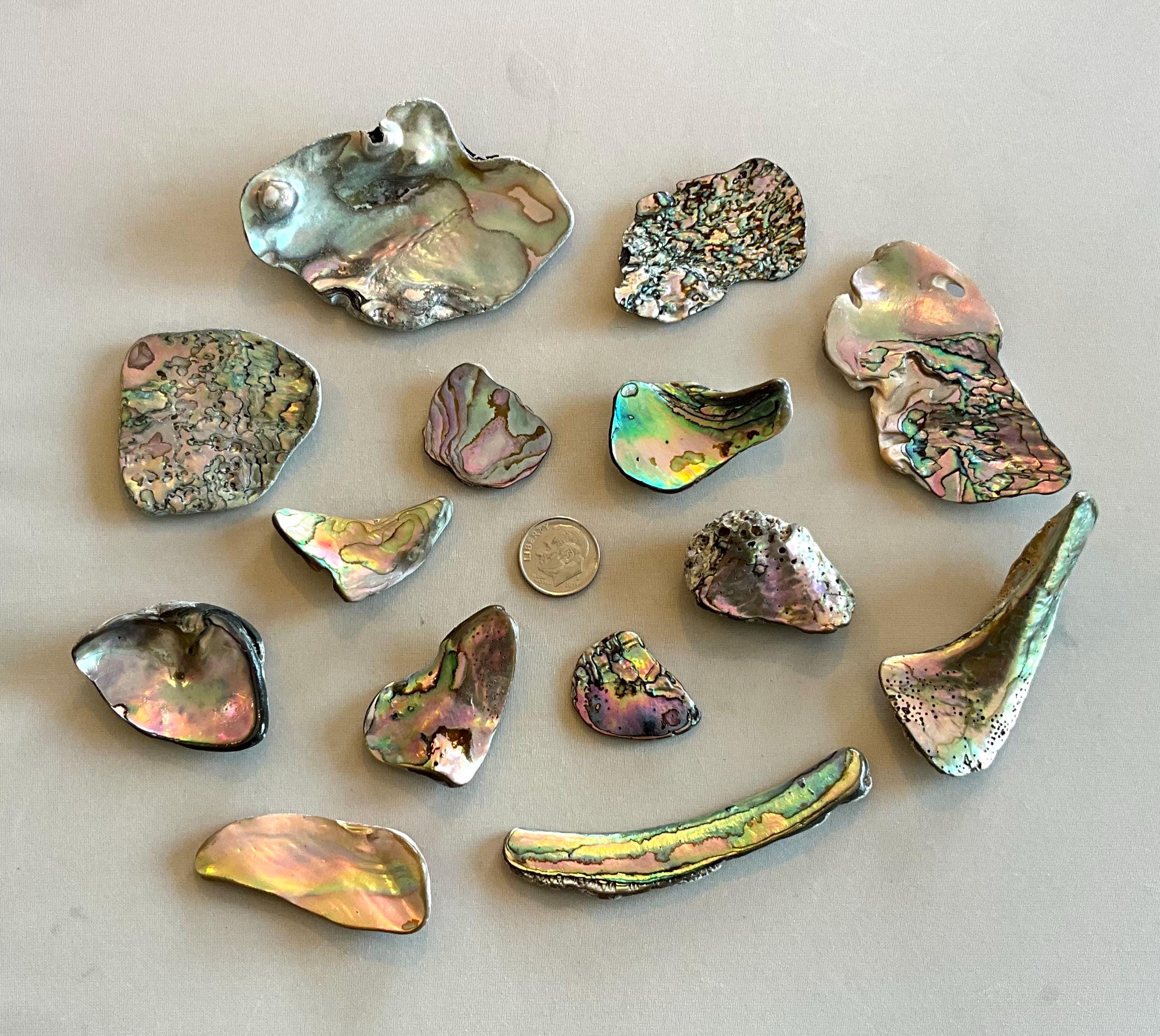 10 LBS Natural Surf Polished Abalone Pieces From Mendocino Coast - Jewelry Making Supply