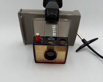 Vintage 1906er Jahre Polaroid Land Kamera Big Swinger 3000 mit Bedienungsanleitung UNGETESTE