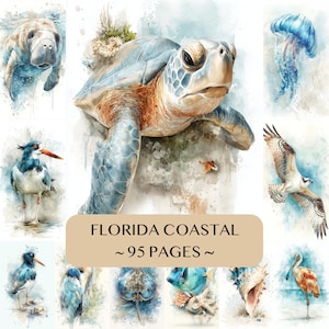 May include: A collection of watercolor illustrations featuring a sea turtle, manatee, jellyfish, osprey, and various coastal birds and shells. A tan rectangular label in the center displays the text FLORIDA COASTAL ~ 95 PAGES ~ in black font.