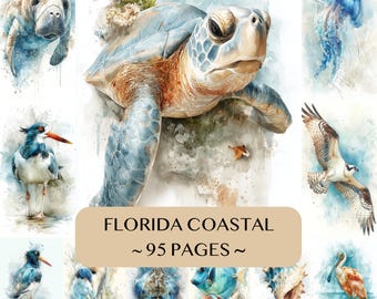 Puede incluir: Una colección de ilustraciones en acuarela que muestran una tortuga marina, un manatí, una medusa, un águila pescadora y varias aves y conchas costeras. Una etiqueta rectangular beige muestra el texto FLORIDA COASTAL ~ 95 PAGES ~.