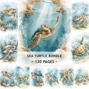 Puede incluir: Un paquete digital con 120 páginas de ilustraciones en acuarela de tortugas marinas. La colección muestra varias tortugas nadando en agua azul con arrecifes de coral, medusas y fondos marinos arenosos. Texto: SEA TURTLE BUNDLE ~ 120 PAGES ~.