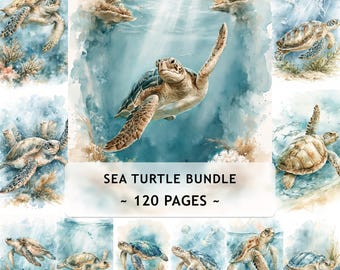 Puede incluir: Un paquete digital con 120 páginas de ilustraciones en acuarela de tortugas marinas. La colección muestra varias tortugas nadando en agua azul con arrecifes de coral, medusas y fondos marinos arenosos. Texto: SEA TURTLE BUNDLE ~ 120 PAGES ~.