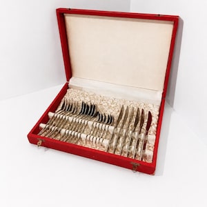 Op de afbeelding: Een set zilverkleurig metalen bestek met vorken, lepels en messen in een rode rechthoekige opbergdoos. De binnenkant van de doos is bekleed met een crèmekleurige stof met een geplooide textuur en heeft individuele vakjes voor elk stuk.
