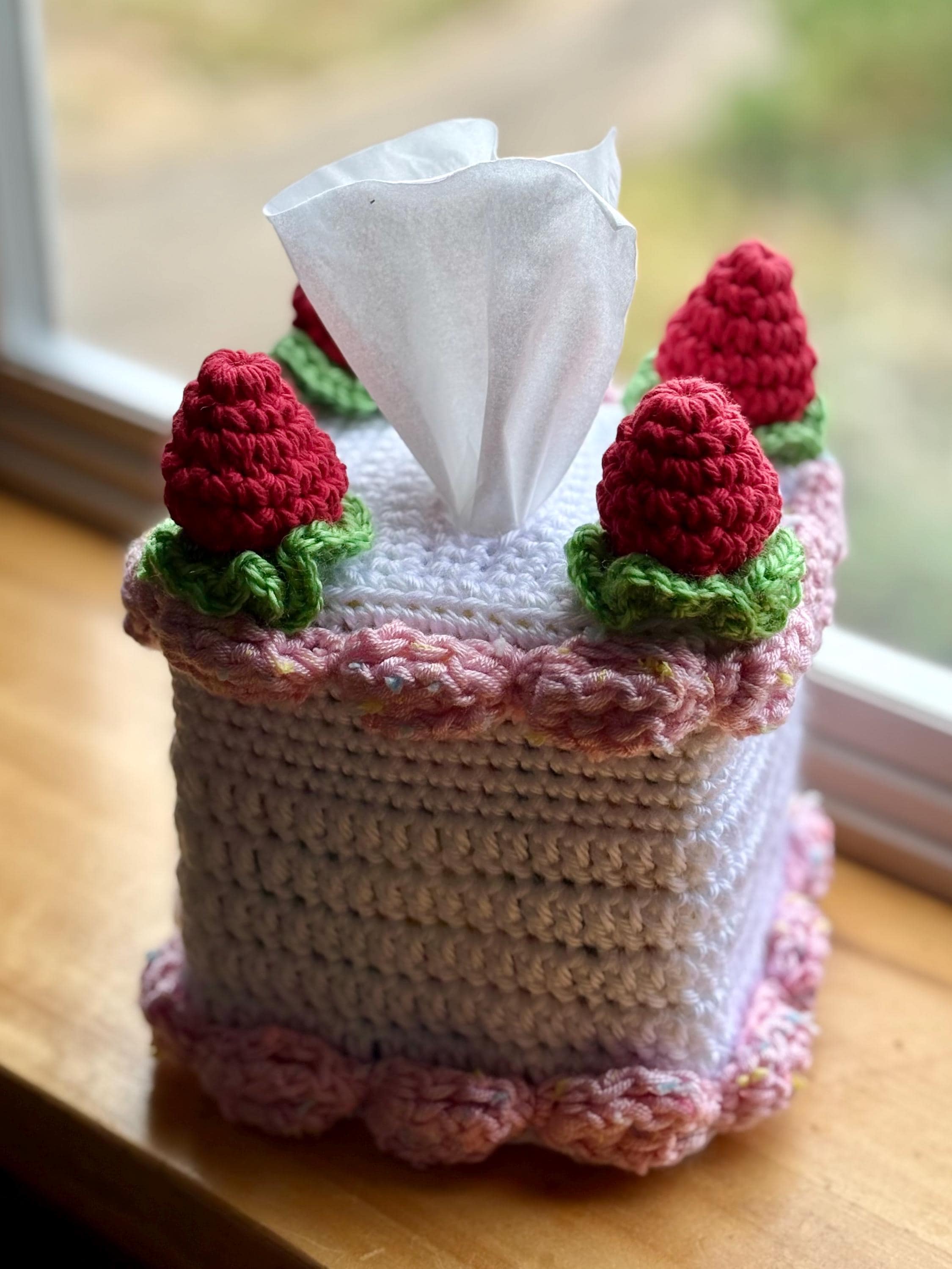 Strawberry Tissue Cover Crochet - Etsy