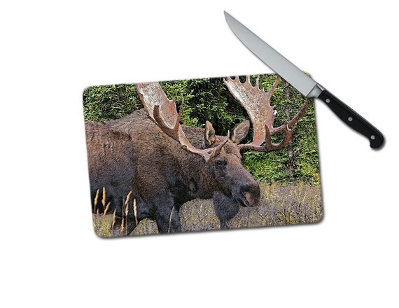 Moose Small Tempered Glass Cutting Board Glass Cutting Board Etsy