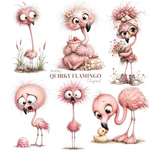 Pode incluir: Uma coleção de seis ilustrações de flamingos cor-de-rosa com olhos grandes e penas despenteadas. Um segura um bolo, outro usa óculos e flores, um chora por um gelado derramado, um está na relva e outro interage com um patinho.