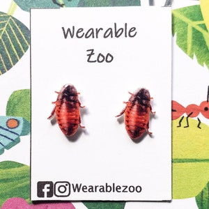Madagascar hissing cockroach earrings, cockroach jewelry, insect bug lover gift