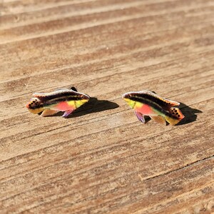Kribensis fish earrings | kribensis jewelry | cichlid aquarium fish tank