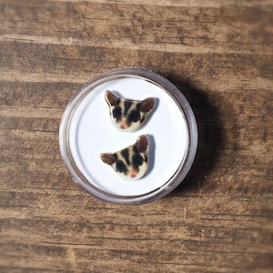 Sugar glider earrings jewelry pet animal