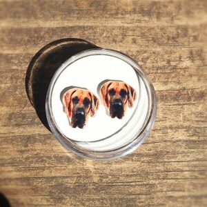 Great Dane dog earrings jewelry gift