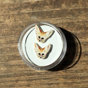 Fennec zorro pendientes joyería vida silvestre animales salvajes zorros