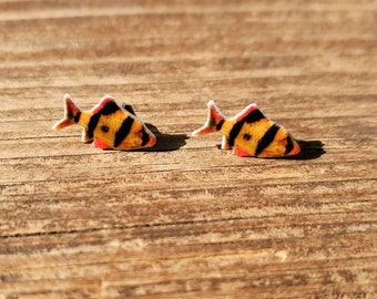 Tiger barb fish earrings | tiger barb jewelry | freshwater aquarium fish owner barbs