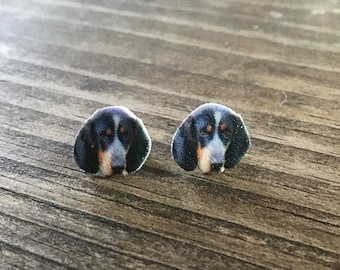 Coonhound earrings jewelry dog blue tick hunting dog