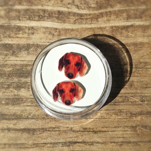 Dachshund dog earrings jewelry pet animal gift