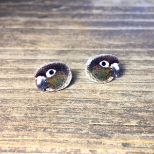 Green cheek conure earrings | green cheek conure jewelry | pet parrot gift accessory bird