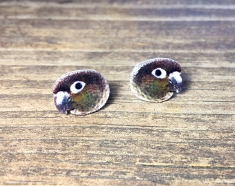 Green cheek conure earrings | green cheek conure jewelry | pet parrot gift accessory bird