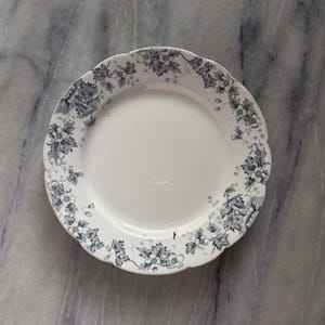 Antique John Maddock & Sons Plates | Royal Vitreous Blue Floral Transferware | Set of 2