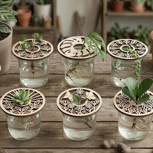 Lock till växtförökningsburkar SVG-paket, 8+ botaniska designer, Glowforge xTool Cricut DXF-filer, direktnedladdning