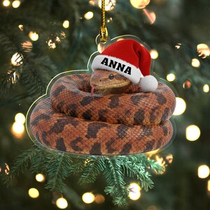 May include: A flat, clear acrylic Christmas tree ornament shaped like a coiled brown and black patterned snake. The snake wears a red and white Santa hat with the name ANNA printed in black capital letters on the white brim, hanging by a gold cord.