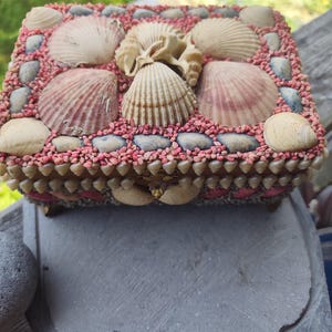 Könnte beinhalten: Eine rechteckige Schatulle, die mit verschiedenen Muscheln und kleinem rosa Kies verziert ist. Der Deckel zeigt größere fächerförmige Muscheln und eine zentrale Spiralmuschel. Die Kanten sind mit kleinen, spitzen Muscheln besetzt.