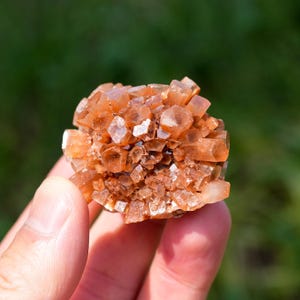 以下が含まれることがあります： 星形の結晶構造を持つ未加工のアラゴナイトのクラスター。六角形の半透明および不透明な面が、焦げたオレンジ、アンバー、赤褐色の色合いで構成されており、自然でギザギザとした多方向の結晶構造を示しています。