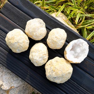 May include: Six round, beige-coloured geode stones with rough, textured exteriors. One of the stones is split open to reveal a hollow centre filled with small, sparkling, translucent white quartz crystals, while the others remain closed.
